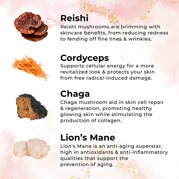 Goldnrose Timeless Radiant Face & Body Cream-3.4 oz-Hydrate & Rejuvenate your Skin with Reishi, Chaga, Cordyceps, Lion’s Mane, Botanical Extracts and 8 Essential Oils