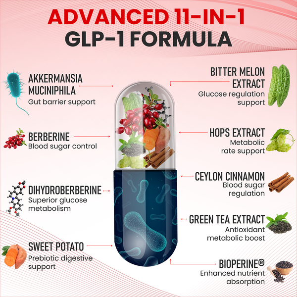 ZenRenu GLP-1 Supplement - Akkermansia Probiotic & Super Berberine 11-in-1 Gut & Metabolism Support with Hops, Bitter Melon, Ceylon Cinnamon, Green Tea - GLP-1 Advanced Natural Support - 60 Vegan Caps