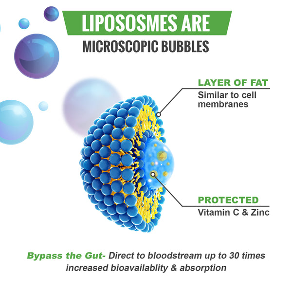 Liposomal Vitamin C & Zinc Liquid -1200mg Supplement Drink- Rapid Cellular Absorption - Immune Support & Antioxidant -